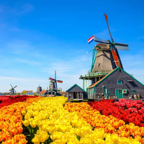 Viajando para a Holanda na Primavera