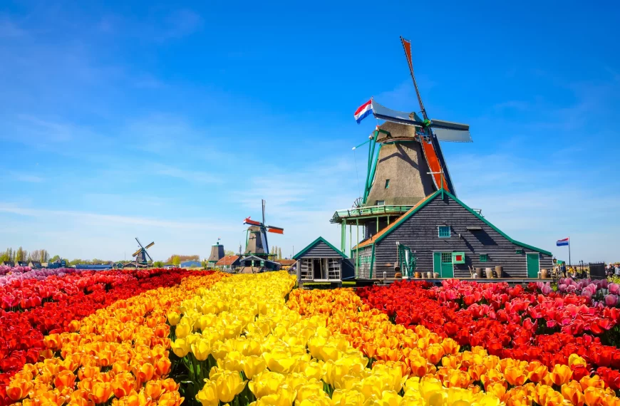 Viajando para a Holanda na Primavera