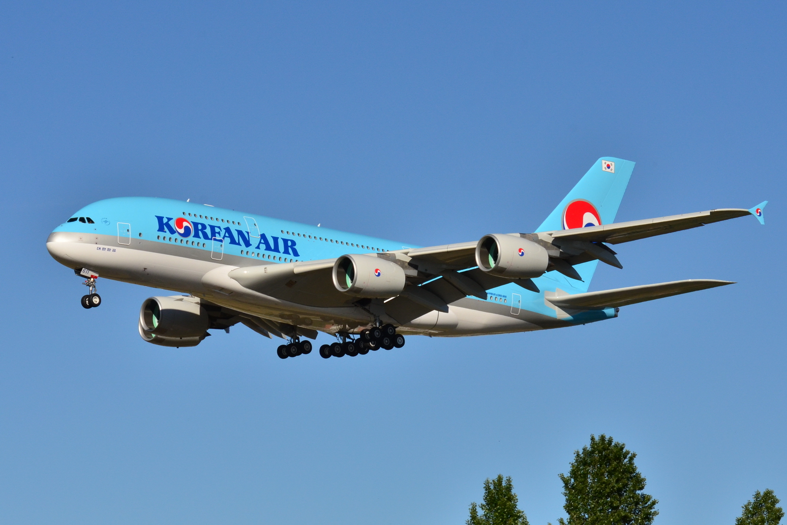 Korean Air é eleita a melhor companhia aérea do Mundo em 2025 - Macari  Travel Blog, image size:1600x1067